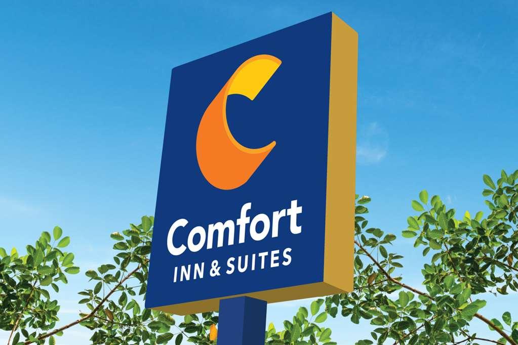 Comfort Inn & Suites High Point - Archdale Zewnętrze zdjęcie